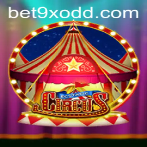 bet9x Casino App